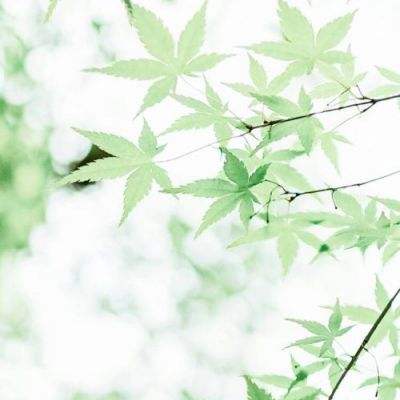 九游王者英雄五连绝世手游下载