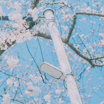 大混战手游下载